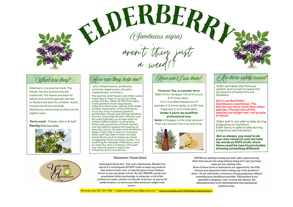 Yahweh's Apothecary Elderberry Syrup product information card