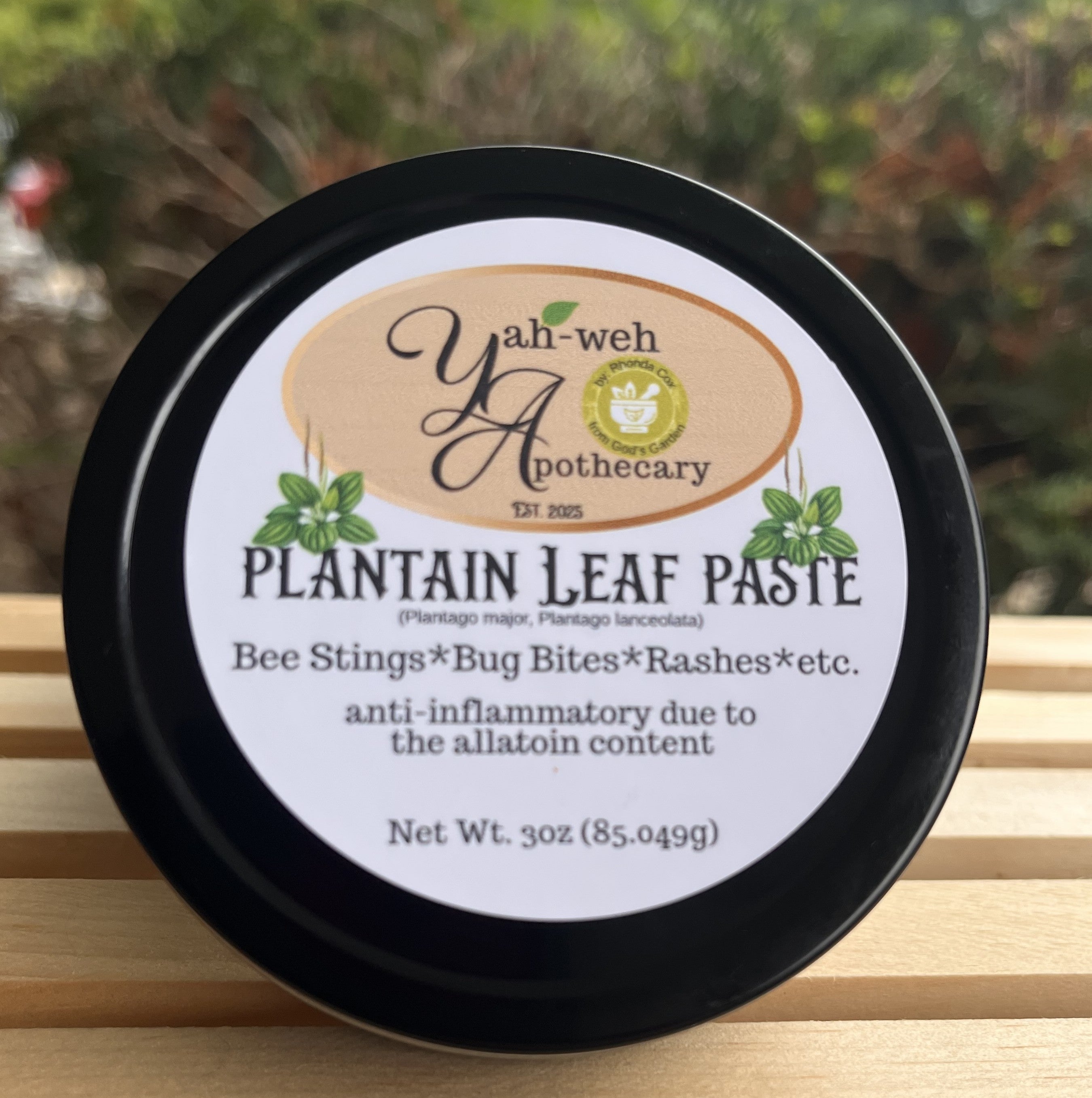 Yahweh's Apothecary Plantain Leaf Paste natural herbal salve