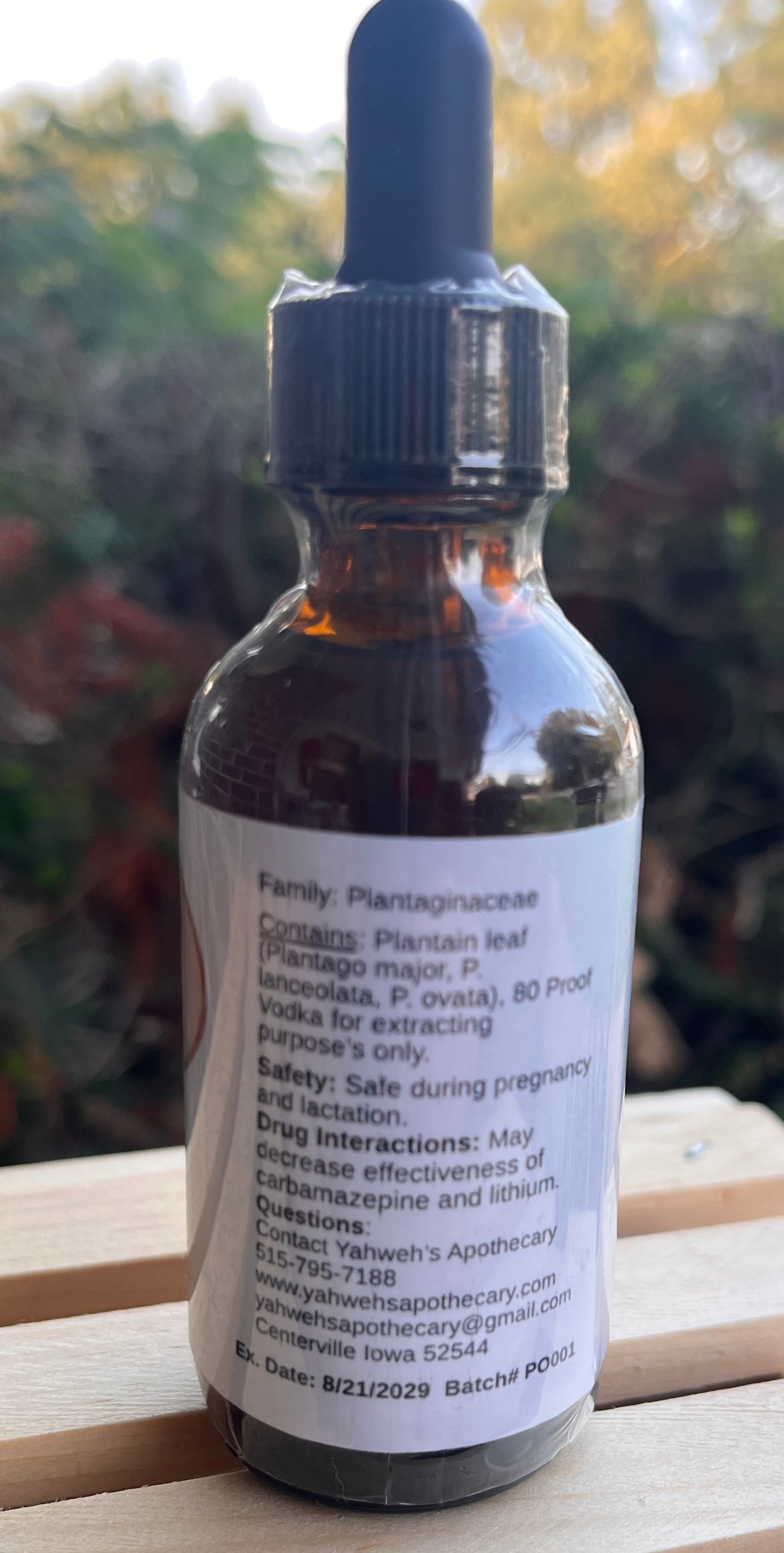 Plantain Tincture