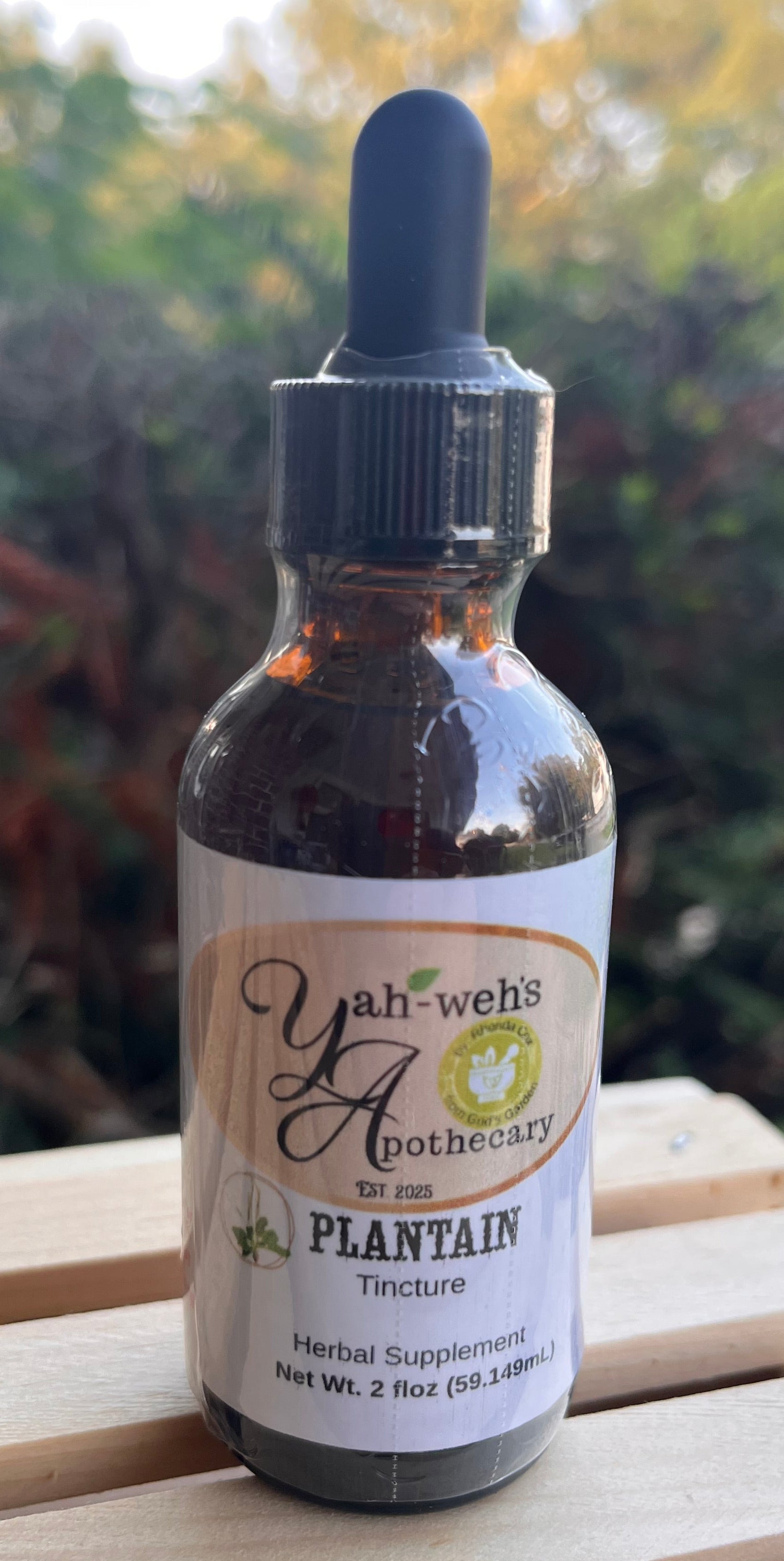 Plantain Tincture